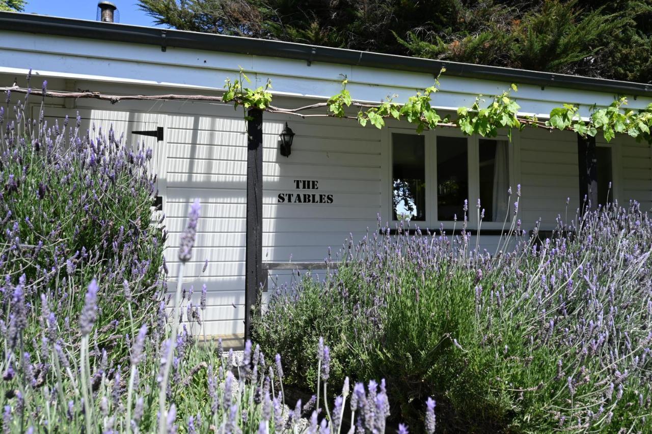 St Leonards Vineyard Cottages Blenheim Exteriör bild